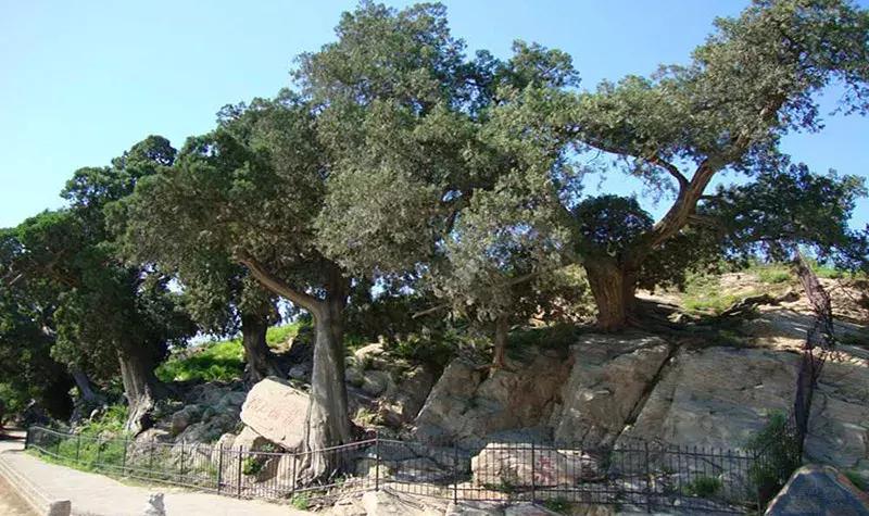 河北唐山市唐山站附近游玩,唐山周边游唐山站