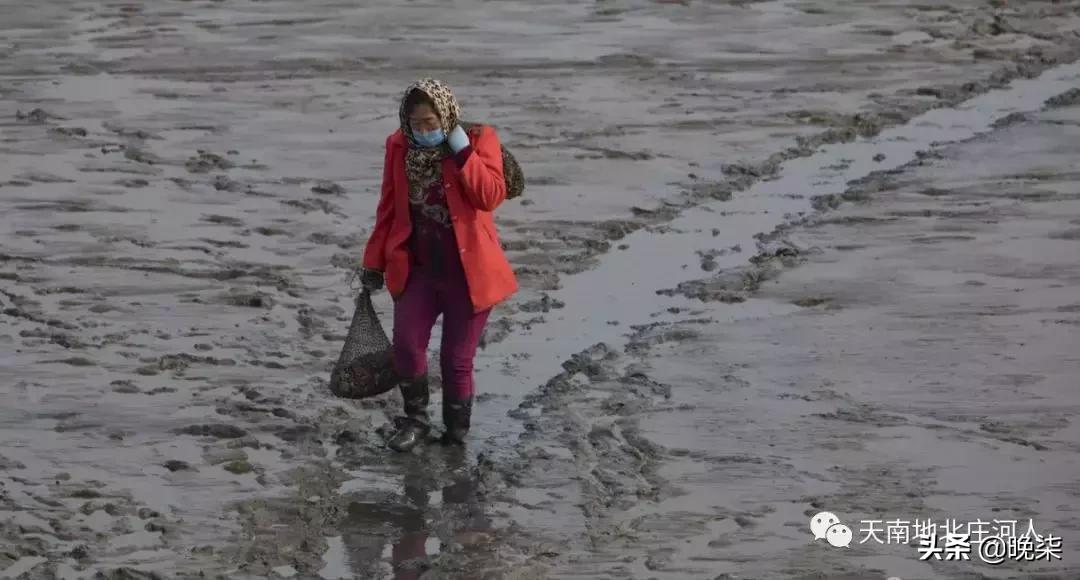 大连庄河赶海排名第一名,庄河赶海网红视频