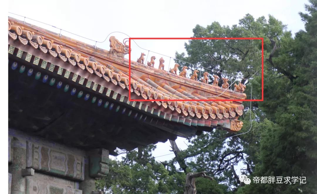 昨天刚沾了文曲星“仙气”儿，这两天学习效果就拉满了