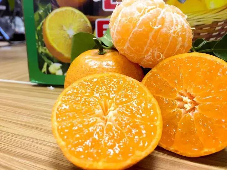 贡柑柑橘,柑橘沃柑和脐橙的区别