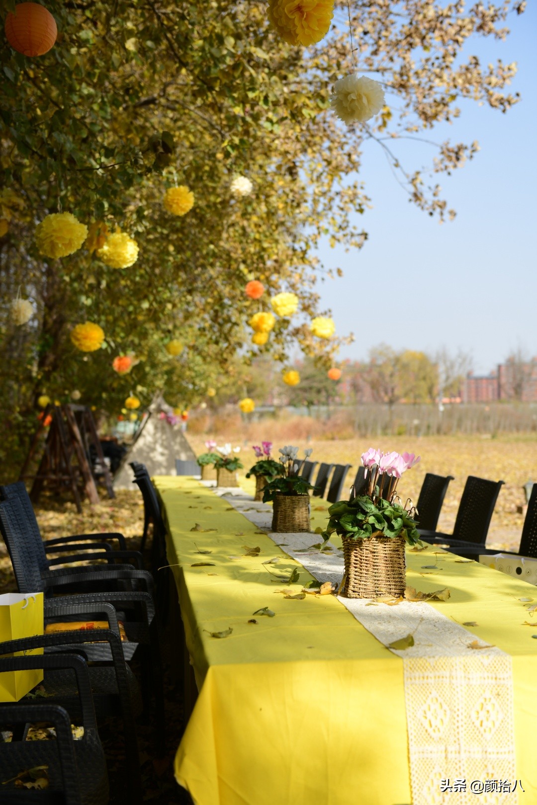 没有比利时花园游，来点比利时啤酒吧|随笔