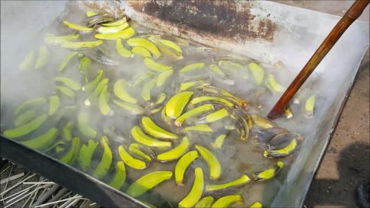 因换盆造成的绿萝黄叶怎么处理,绿萝黄叶枯萎怎么换盆