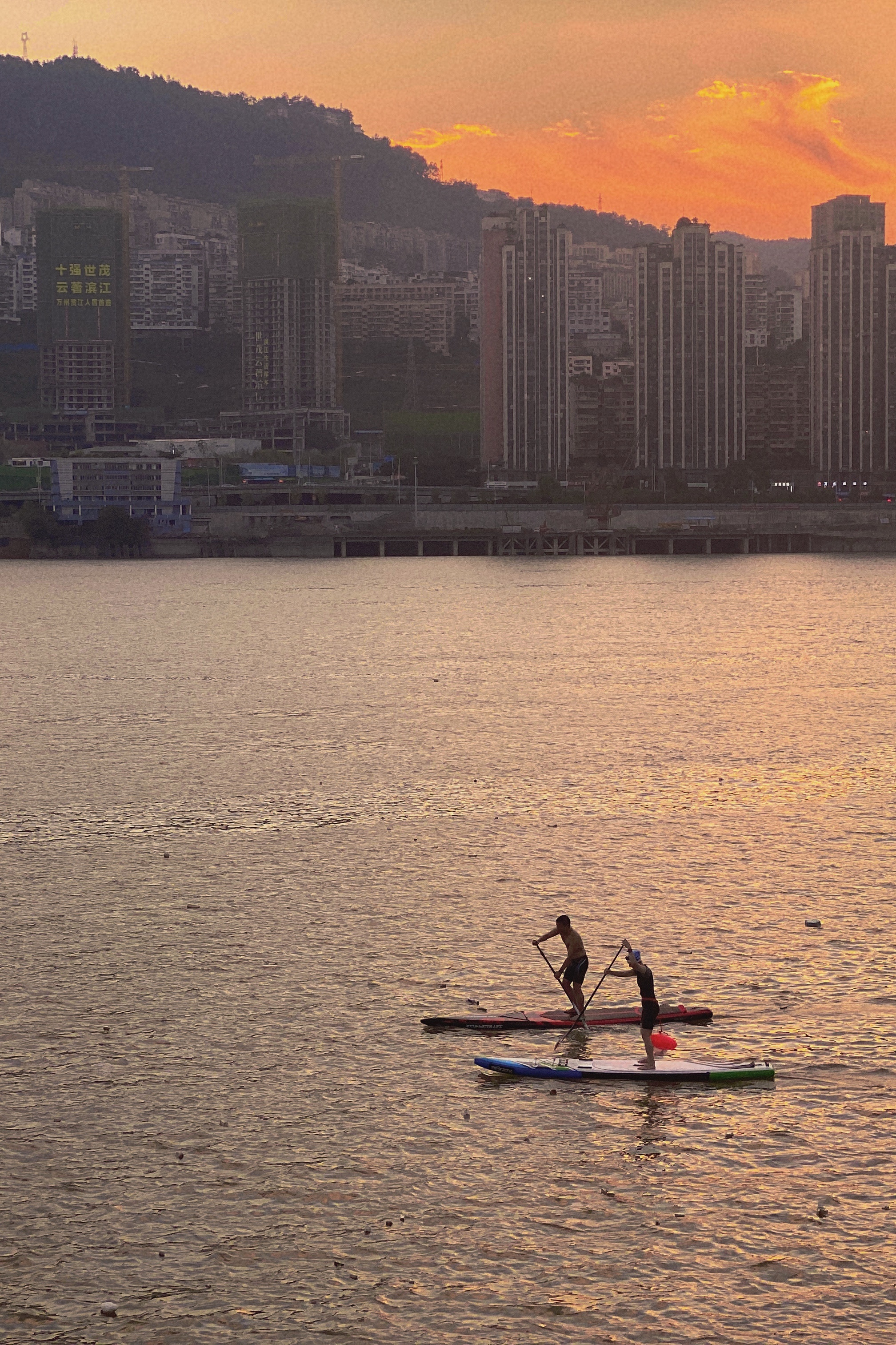 重庆主城九区宜居排名,重庆哪个区最宜居性价比最高