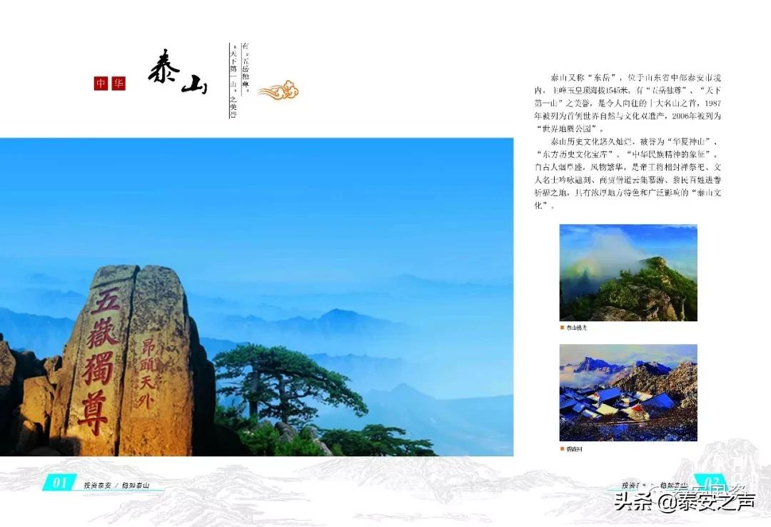 *安泰**国资委开展“双招双引”线上推介！