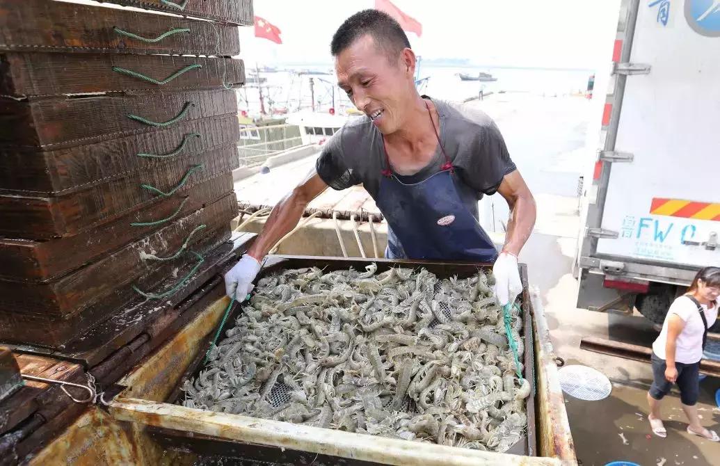 欢迎来连云港吃海鲜,连云港哪里吃海鲜便宜又实惠贴吧