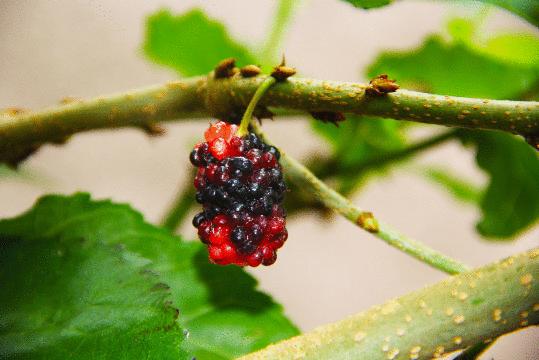 钟山水墨田园山水画廊,钟山水墨画廊要门票吗
