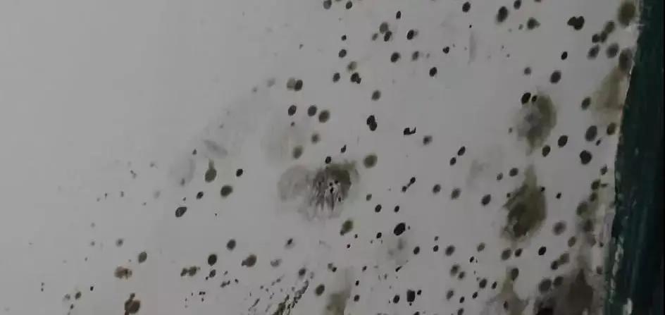 国产德爱威乳胶漆和进口的区别,佐敦乳胶漆是进口的还是国产的