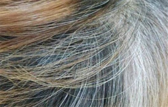 木北造型和木北护肤卡能通用吗,木北护肤造型