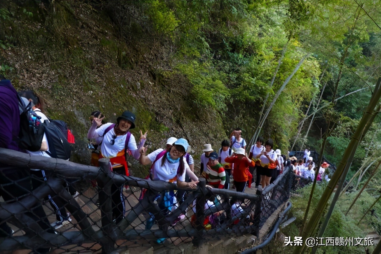 “冬日暖阳近登高望远时”2020南武当脐橙登山节精彩集锦回顾！