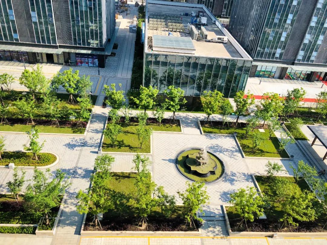 太惊喜!这家高品质项目不声不响卖到第一,独家内幕被曝光