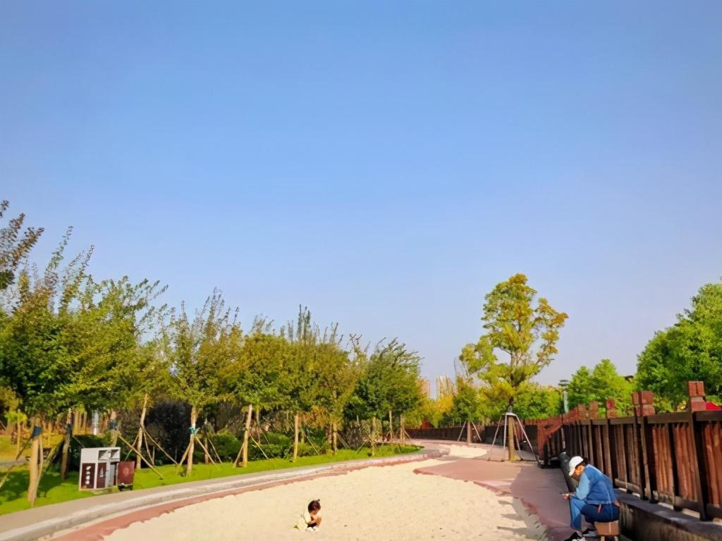 洛阳粉色花海,洛阳近郊惊现绝美花海