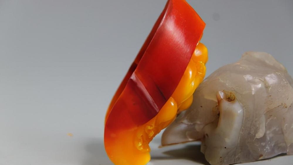 头骨最值钱鸟,头骨很珍贵的鸟