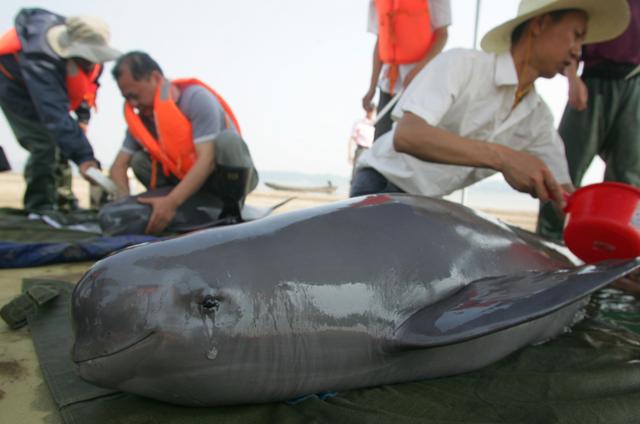 鍙戠數姘村簱鍏婚奔,鍙戠數姘村簱