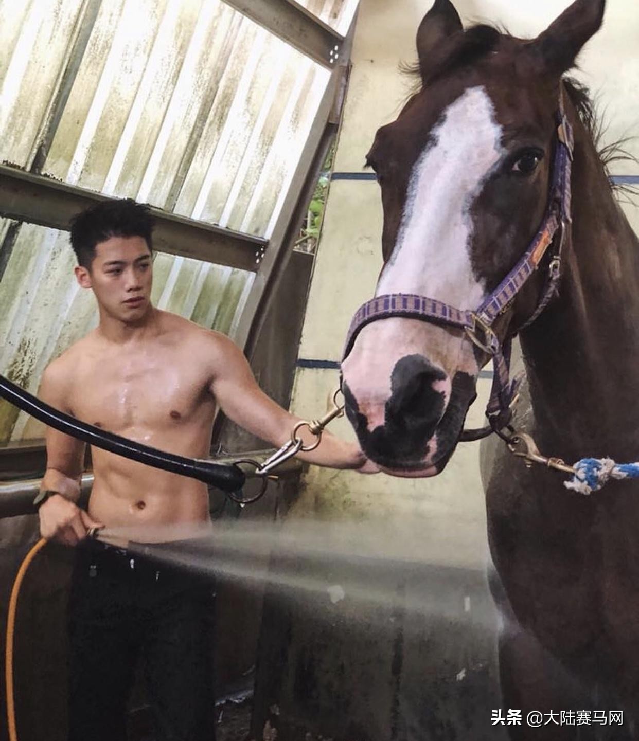 最帅马术王子,马术帅男