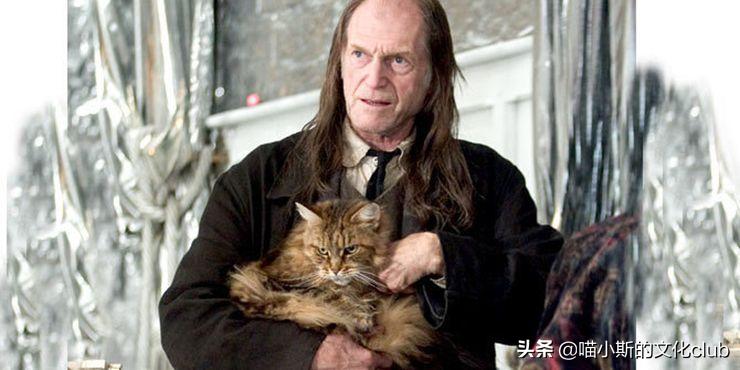 当魔法遇到魔法,哈利波特与西方神话