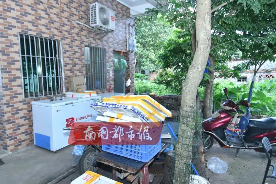 你喝的绿豆冰沙可能来自这里！苍蝇飞舞，设备简陋，消毒靠“热水烫”…