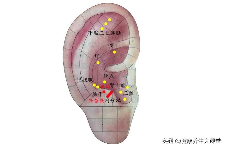 做好4点让脂肪肝变回健康肝,脂肪肝来临如何防治为肝瘦身
