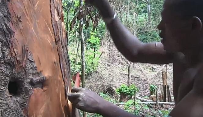 非洲牧师给穷人疯狂*脑洗**，几分钟就赚两万块，穷人激动得浑身抽搐