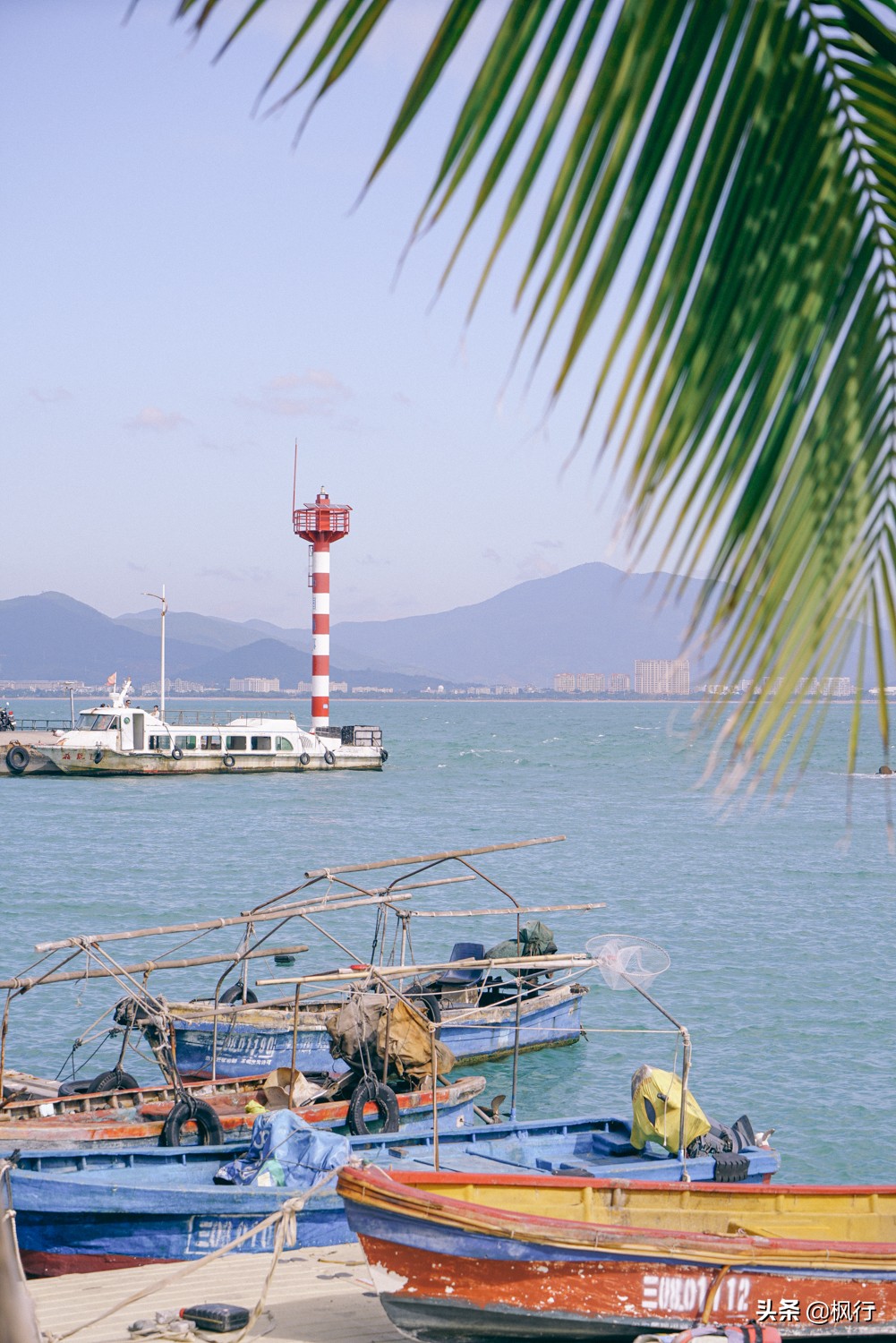 被猴子袭击，门票昂贵，拍照被轰，被我全程吐槽的三亚到底值不值