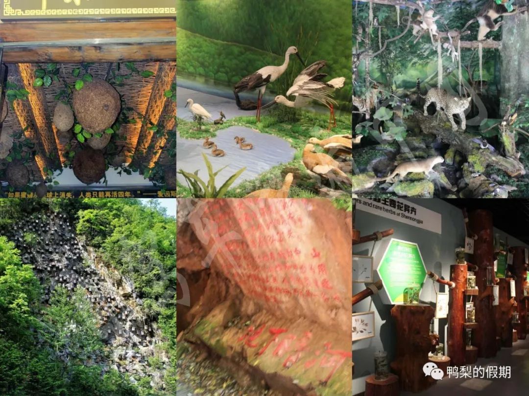 自驾车游遍中国之（一）——世界那么大，我想去神农架