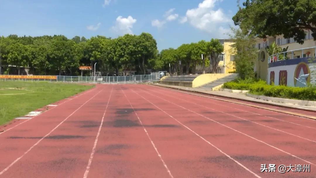 奥运拿金牌的女选手,奥运冠军漳州人