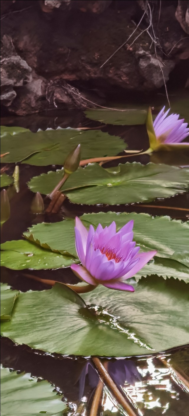 新高一家长需要了解什么,高一父母应该怎么做