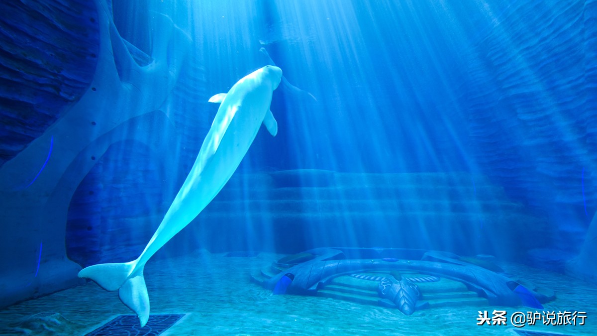 天房洲际与亚特兰蒂斯,天房洲际酒店和亚特兰蒂斯