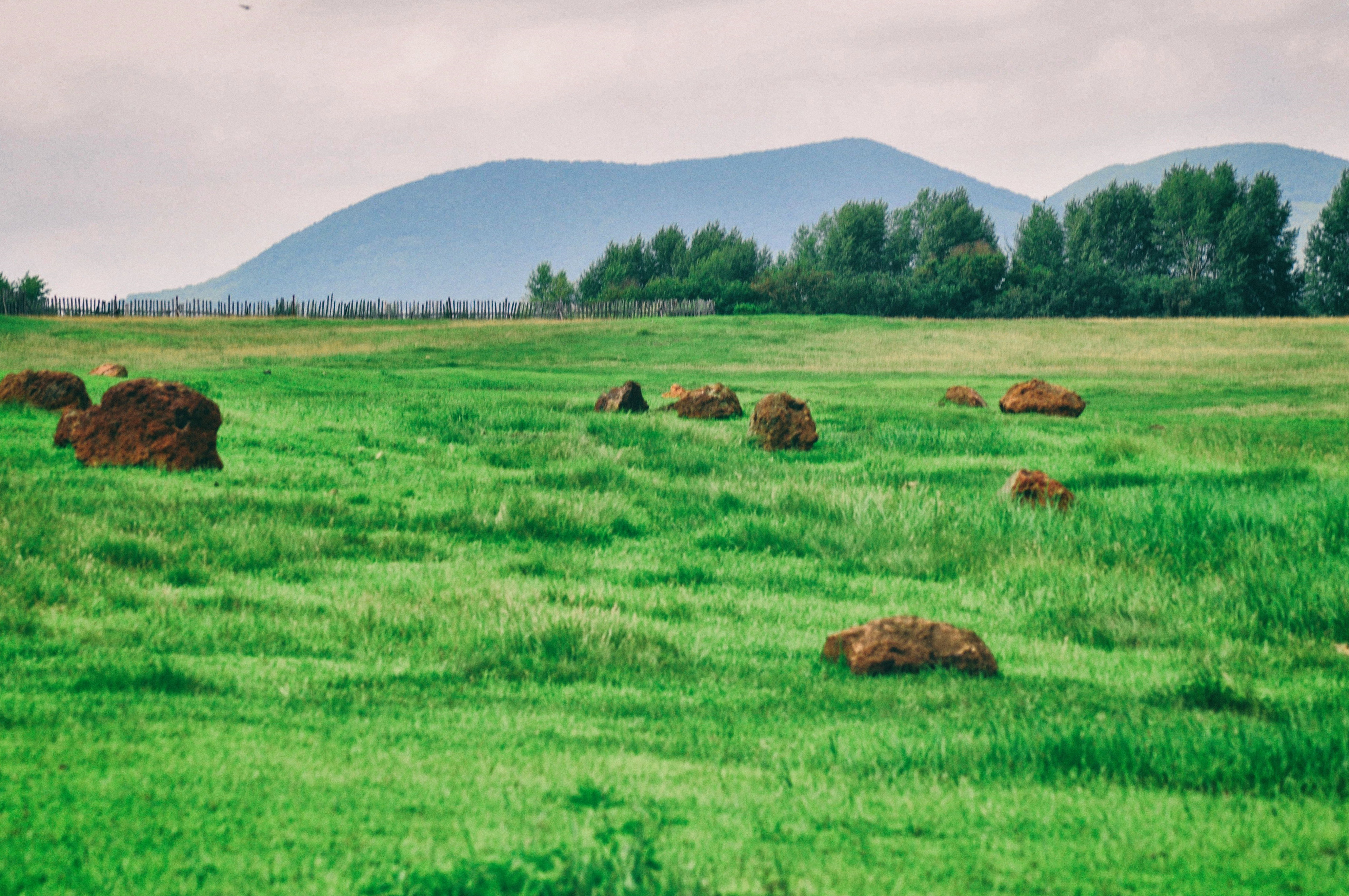 一次特别的东北旅行,历时18天的东北边境行