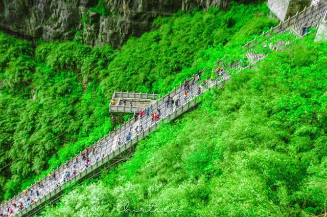 天门山森林公园和张家界森林公园,张家界天门山一日游最佳路线