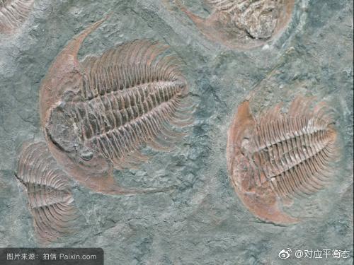 生命到底是怎样产生的