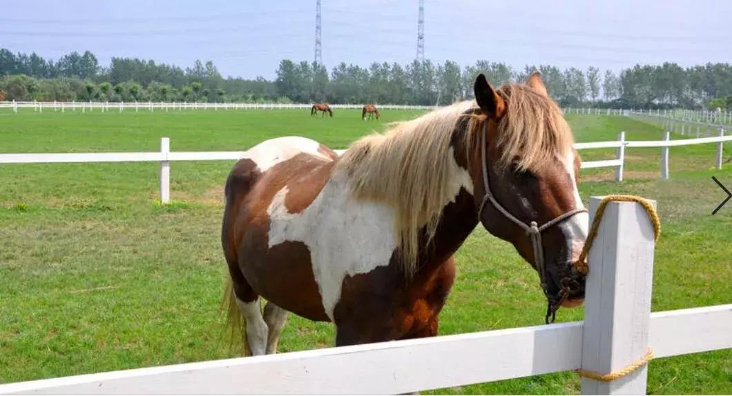 泰州溱湖来自1800米湿地深处云海温泉人文湖景别墅，独享惬意时光