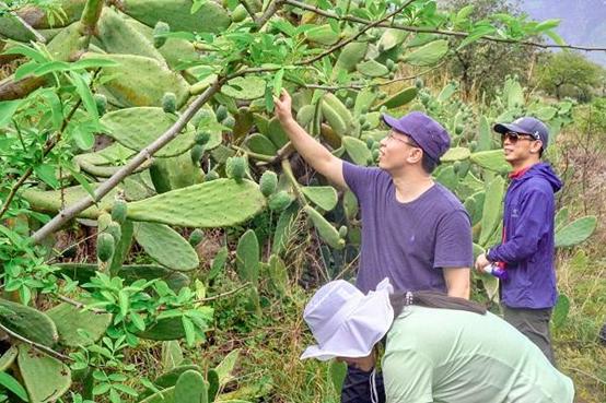 美宝护肤霜,美宝护肤产品怎么样