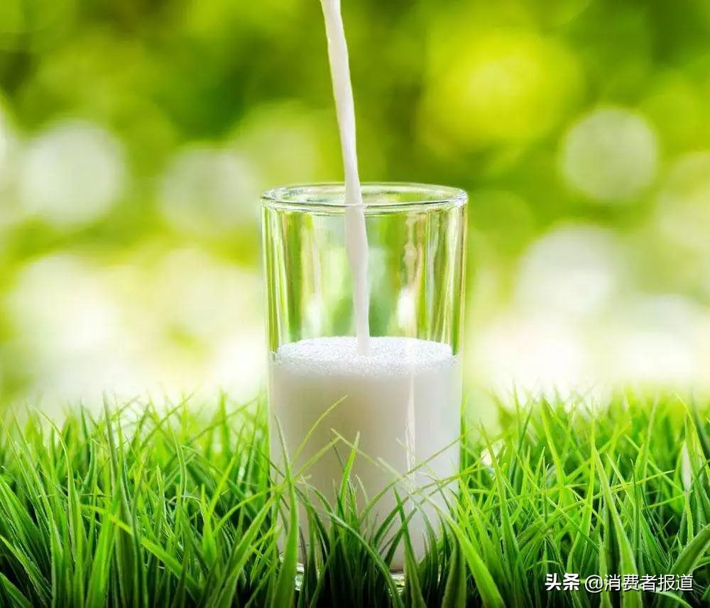 中老年奶粉口碑最好的奶粉有哪些,中老年十大不含乳糖的奶粉