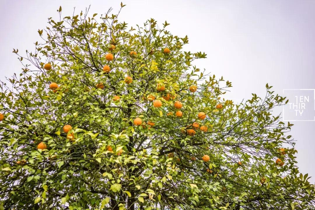 这样的青春，混迹过黄家湖大学城的人都会懂