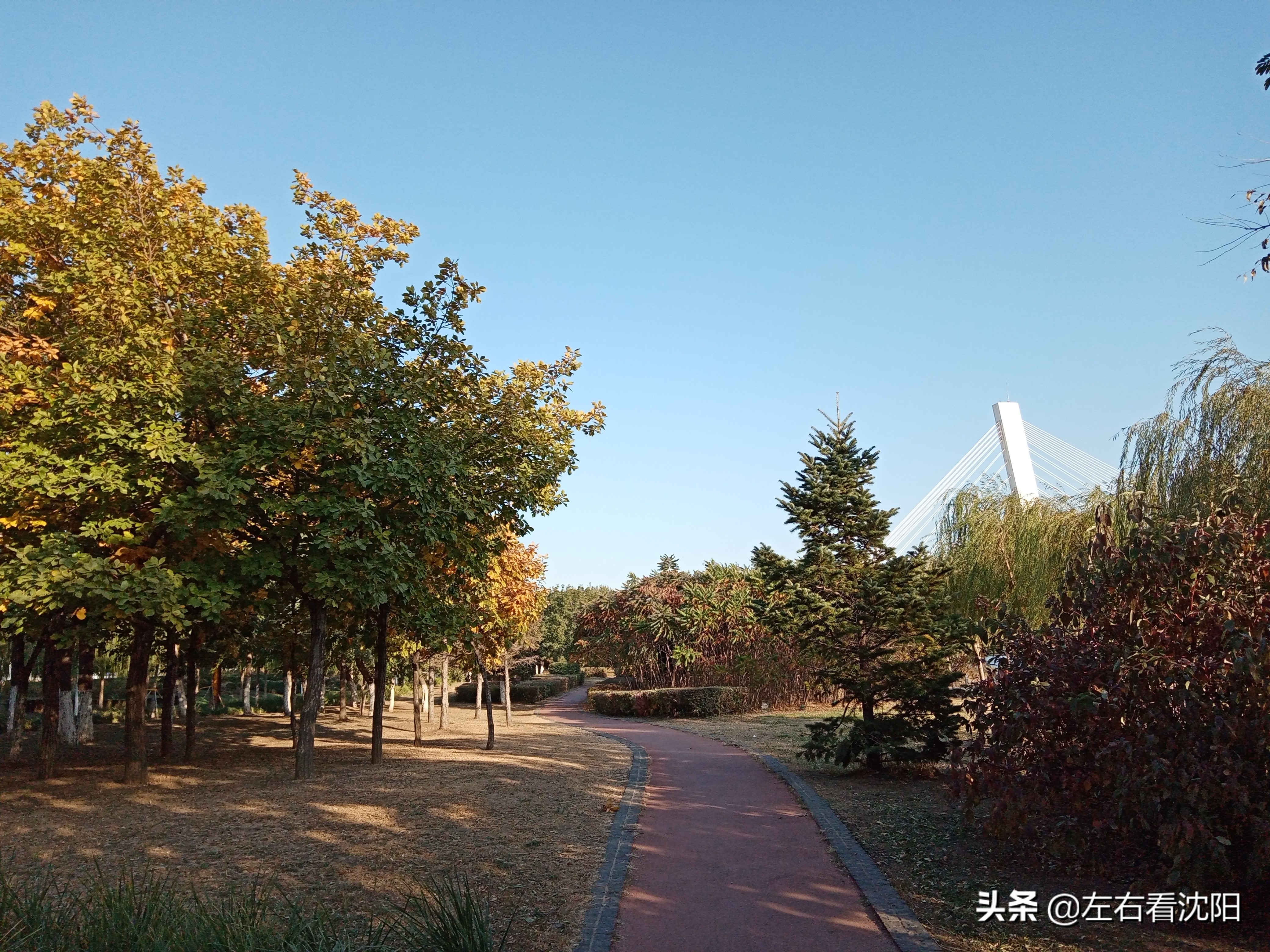 沈阳五里河公园攻略,沈阳五里河公园现在开吗