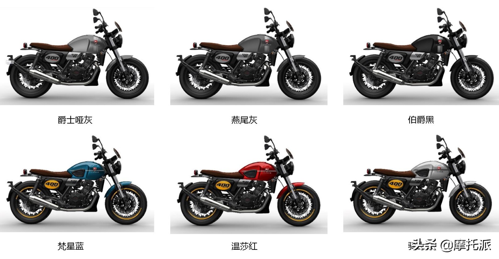 赛科龙2020新品发布，关键词“保持冷静，耐住寂寞，觉醒绽放”