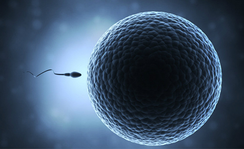 冷知识男人的小秘密,冷知识海洋的秘密