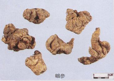 教你怎么辨别真假三七粉,真假三七粉教你三招