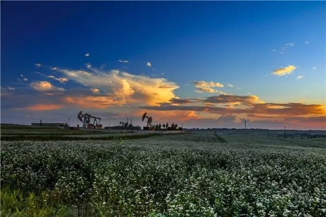 定边采油厂航拍,定边采油厂宣传片