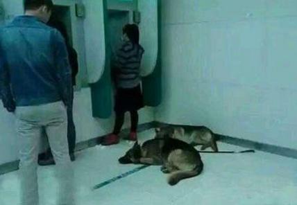 30张搞笑图片gif,笑晕过去搞笑图片