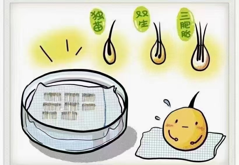 大家谈谈植发的经历,植发真的是一个漫长的过程