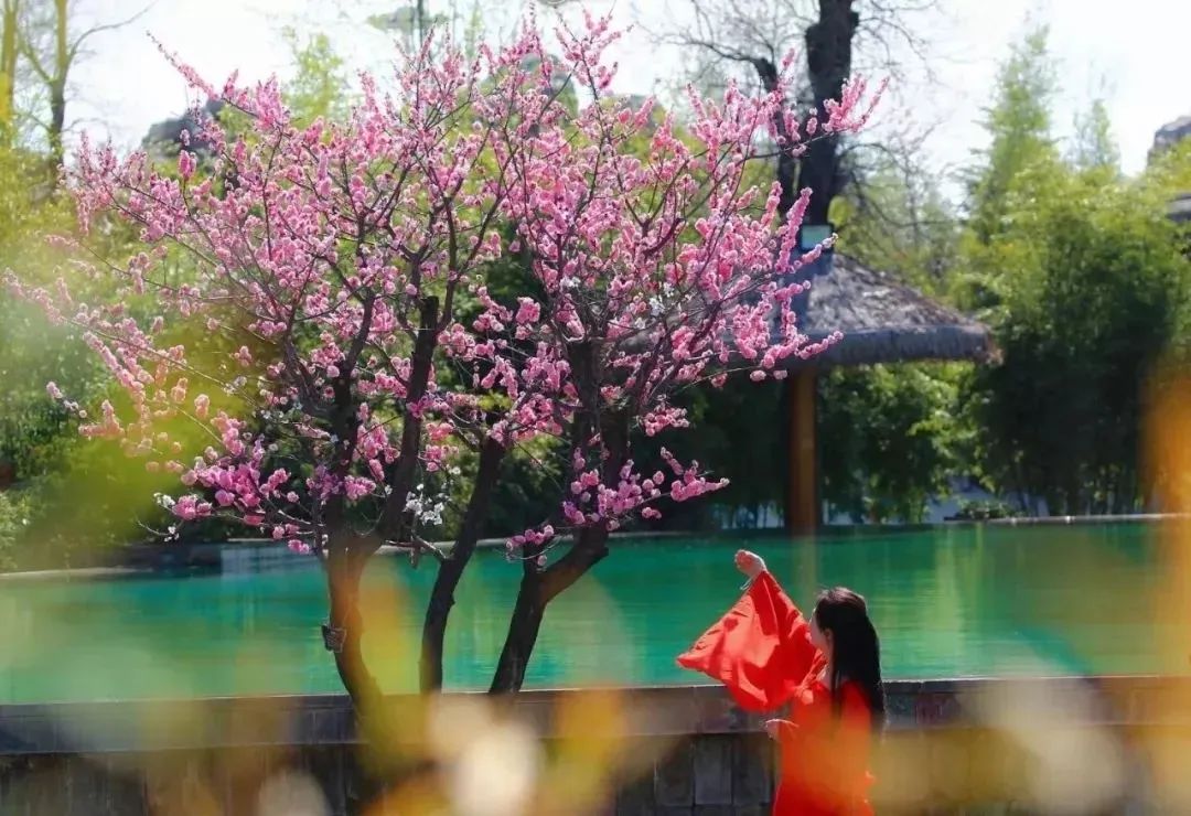 回归大自然享受田园,回归大自然享受大自然的馈赠