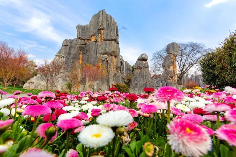 2019旅行必备清单,2022年flag清单