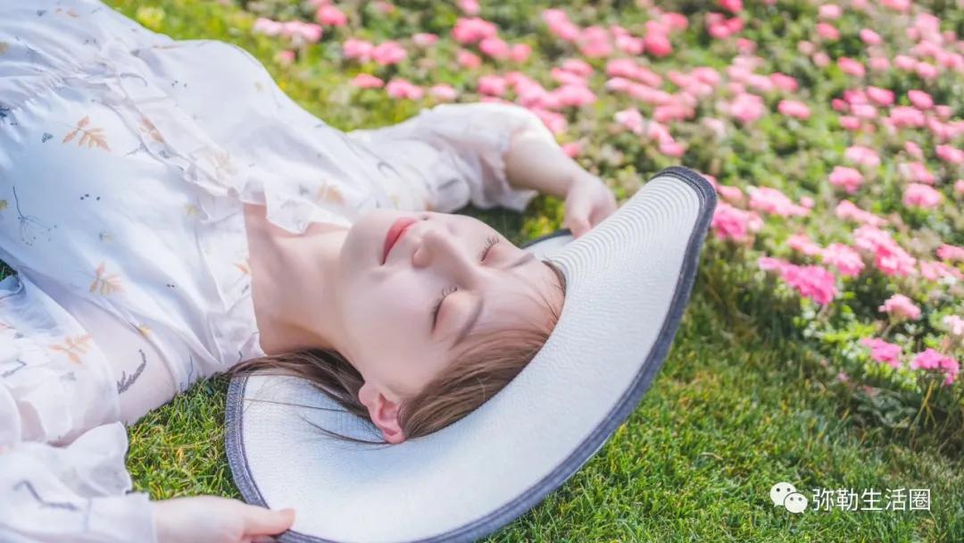 云南最美小镇图片,云南太平湖森林公园花海