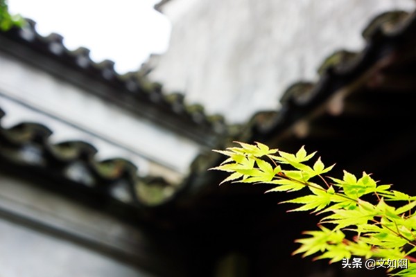 苏州一个原汁原味的水乡古镇,如果你来苏州一定要来古镇看看