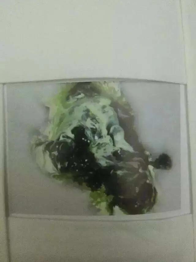 信鸽病防治,信鸽疾病的预防常识