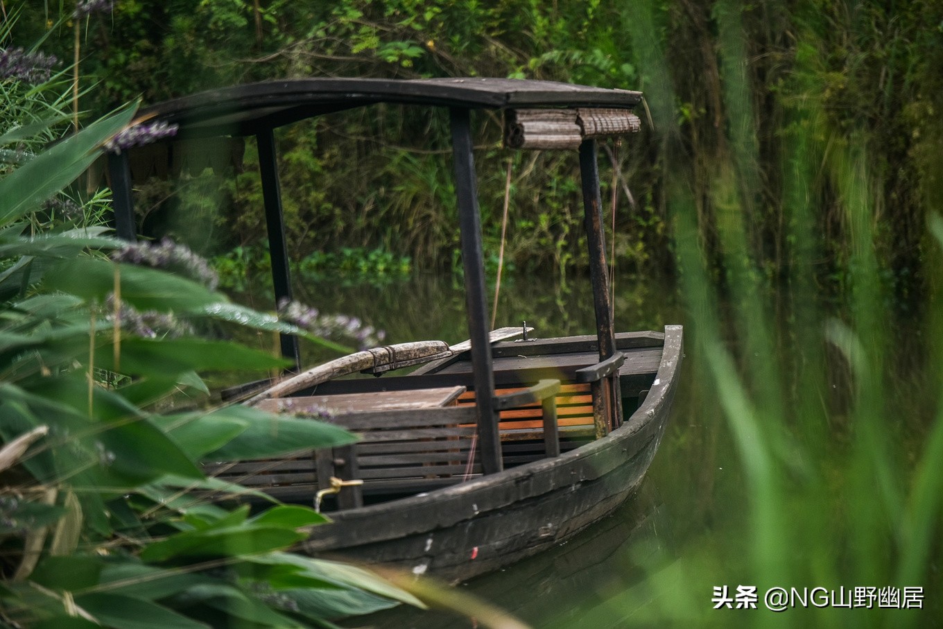 流传近百年的“西溪且留下”,究竟是何种意境?可到杭州亲身感受