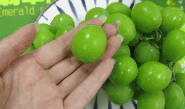 青印香提怎么挑选,青印香提为什么这么甜