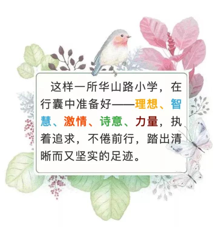 南京这所新校藏不住了！我们发现了几百封来信……