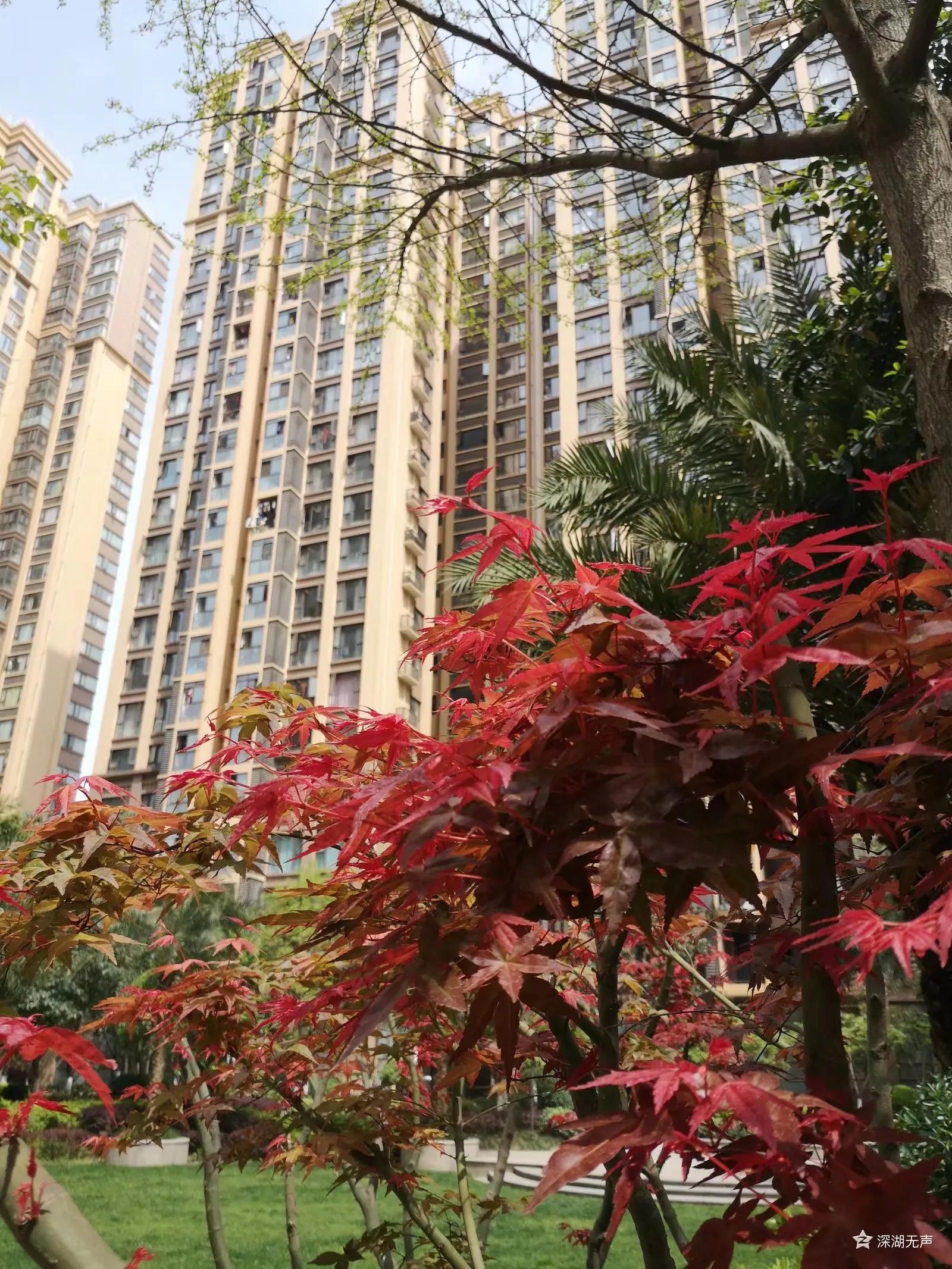 红光，一座荣光与梦想并存的小城